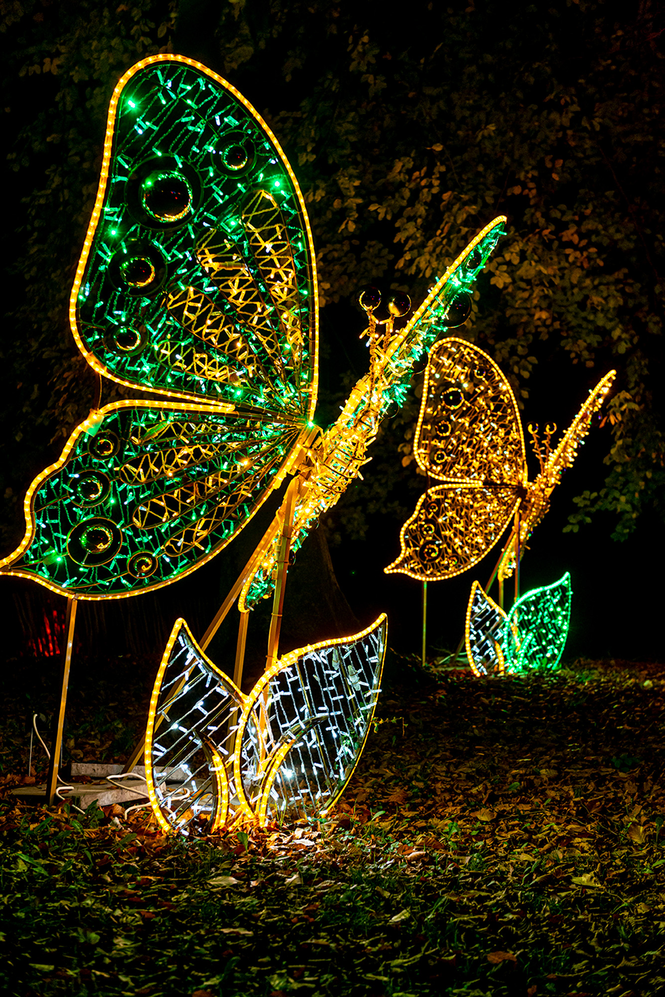 ©VincentNageotte-photographe-evenement-paris-lumieresenseine-18